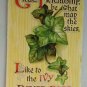 Lot of 3 Ivy Leaves Divided Back Postcards Posted 1916 1919 and not posted