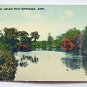 scene near Hot Springs AR #2 Divided Back Postcard Not Posted
