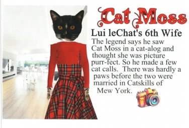 Cat Moss A Cat-alog Model Anthropomorphic Black Cat 4x6 Chrome NEW