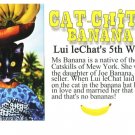 Cat-chita-Banana Cat in the Banana Hat  Anthropomorphic Black Cat 4x6 Chrome NEW