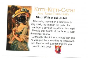 "KITTI-KITTI-CATHI AKA RIKKI-TIKKI-TABBY Anthropomorphic Black Cat 4x6  NEW