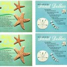 Lot of 21 Florida Shells Sand Dollars Star Fish 4x6 Postcards Not Posted EX-NM