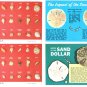 Lot of 21 Florida Shells Sand Dollars Star Fish 4x6 Postcards Not Posted EX-NM