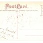 Easter charming scene with chicks on Ladder Divided Back Postcard Not Posted EX