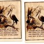 Lot of 19 Storks Divided Back Postcards 6 Posted VG-EX