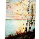 Sunset Scene near Petoskey Michigan WB Postcard Not Posted EX-NM