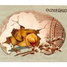 classic Easter scene w/a newly hatched Chick Divided Back Postcard Not Posted EX