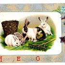 Easter Scene w/Rabbits Rake and Basket  Divided Back Postcard Not Posted EX