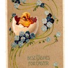 Easter Best Wishes w/a newly hatched Chick  Divided Back Postcard Posted 1908 EX
