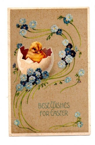 Easter Best Wishes w/a newly hatched Chick  Divided Back Postcard Posted 1908 EX