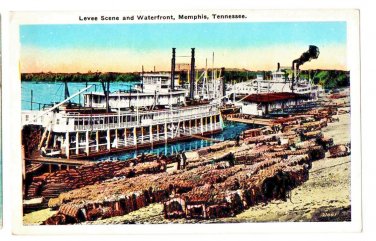 Levee Scene and Waterfront Memphis TN White Border Postcard Not Posted  EX