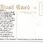 Easter scene w/a Cross & newly hatched Chick Divided Back Postcard Not Posted EX