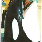 Sea World Orlando Pre-Opening Postcards Fall 1973 Not Posted NM Save 80% on 4+