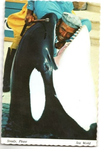 Sea World Orlando Pre-Opening Postcards Fall 1973 Not Posted NM Save 80% on 4+
