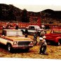 1979 Ford Pick-ups  Standard Chrome Postcard NM