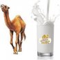 Camel Milk Powder Natural With High Protein & Calcium HALAL 20