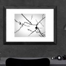 ABTRACT - PHOTO PRINT