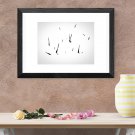 THORNS - PHOTO PRINT