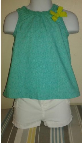 Summer Short carter's and cherokee top size 9 months