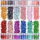 Warmfits Holographic Chunky Glitter 12 Colors