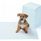 AmazonBasics Pet Training and Puppy Pads, Regular and Heavy Duty