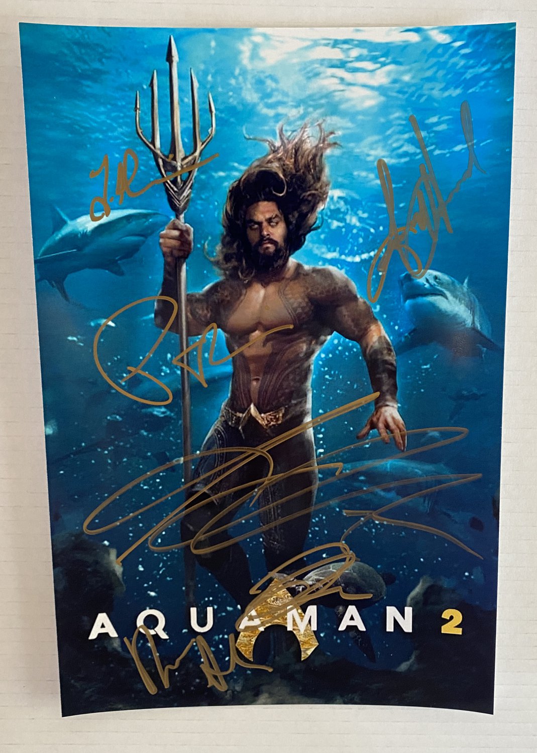 Aquaman 2 cast signed autographed 8x12 photo Jason Momoa photograph autographs