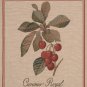 Cerise Royale Belgian Sofa Pillow Cover - Small, 18in x 18in | SOWA-108-219