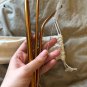 Environmental Rose Gold 5pcs Reusable Stainless Steel Straw Metal Smoothies Boba with Brush Bag