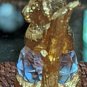 Swarovski Based Crystal Golden Koala Bear Figurine 1.5"