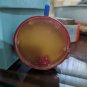 Vintage Galloping Dominoes Dice Spinner