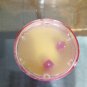 Vintage Galloping Dominoes Dice Spinner