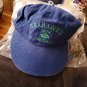 Vintage Puma NFL  Seahaks 1976 Football Blue  Cap