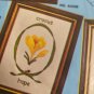 Paragon Needlecraft Kit No A5001 Crocus 1975 Julie Nixon Eisenhower