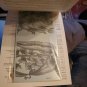 Tilescapes multipurpose rub on transfers for Tile,glass,metal, wood, plastic