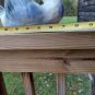 California Pottery Planter &acirc;�� Swan 51 &acirc;��