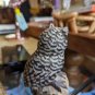 Vintage Asian Beautiful Stone Owl On Perch