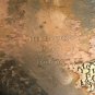 Reed & Barton SALEM 1613 Silver Plated Oval Footed Bowl 12-1/4" x 8"