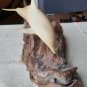 John Perry Dolphin Sculpture Burl Wood Driftwood 8"