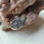 John Perry Dolphin Sculpture Burl Wood Driftwood 8"