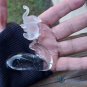 Frosted Glass Standing Elephant Figurine Sculpture on Clear Glass Base 3.5" Tall