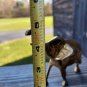 Vintage Mid 20th Century Small Gold Brass Elephant Made in India 4"