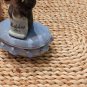 Vintage and unique Small Bear Ceramic Trinkets Box