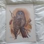 Vintage Great Horned Owl Art Print by Paul C. Connor, Arthur Kaplan Co. NY