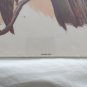 Vintage Great Horned Owl Art Print by Paul C. Connor, Arthur Kaplan Co. NY