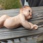 Vintage 1945 Palsto Plak Baby Lying On It's Tummy