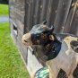 Vintage Ceramic Figural Cow Decor, Shabby Chic Rustic style Cow Decor