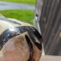 Vintage Ceramic Figural Cow Decor, Shabby Chic Rustic style Cow Decor