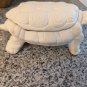Arnels All White Turtle Jewelry Larg Trinket box Mold Aprox 6" By 3.5"