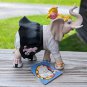 Westland Giftware Trunk Show Elephant 2266 Resin Figurine Betty Sue