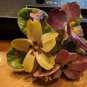 Vintage 1960s Denton Bone China  Floral Pin Brooch Made In England